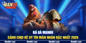 Đá Gà Man88 - Sảnh Chọi Kê Uy Tín Mãn Nhãn Bậc Nhất 2026